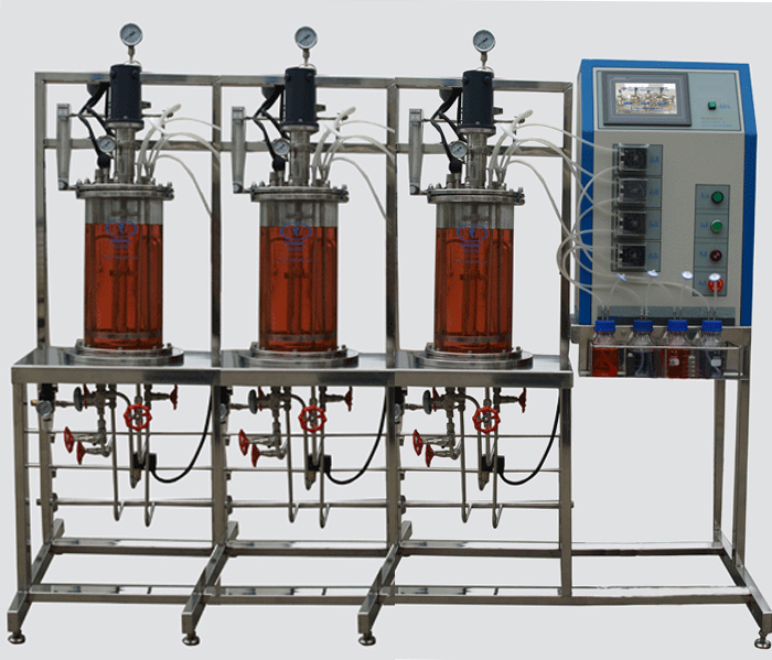 多聯平行機械攪拌玻璃發(fā)酵罐