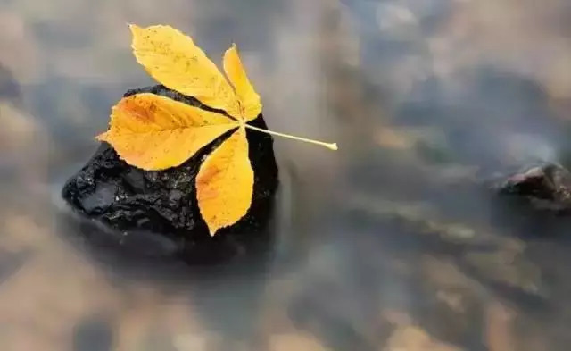 堅強是你唯一的選擇(圖3)