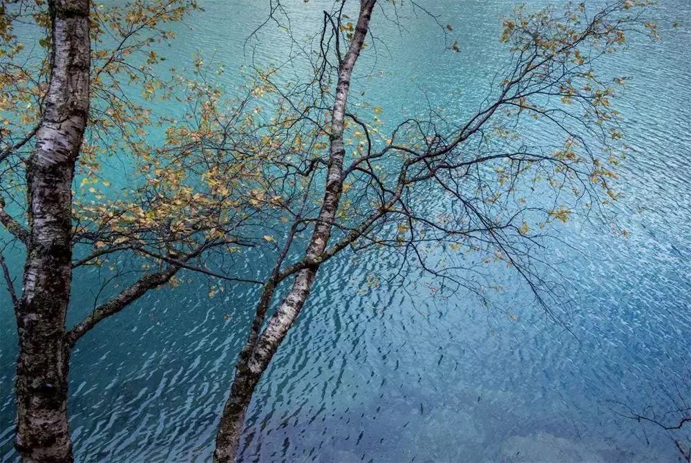 堅強是你唯一的選擇(圖1)