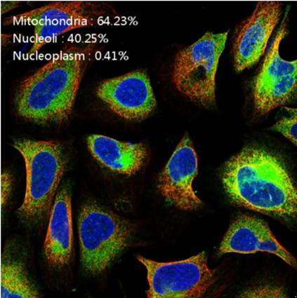 蛋白質分類評估
